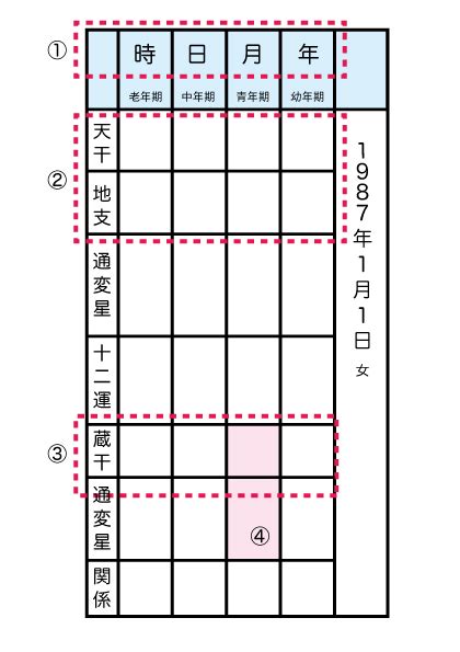 食神長生 女性|食神（しょくじん）の知識全般 